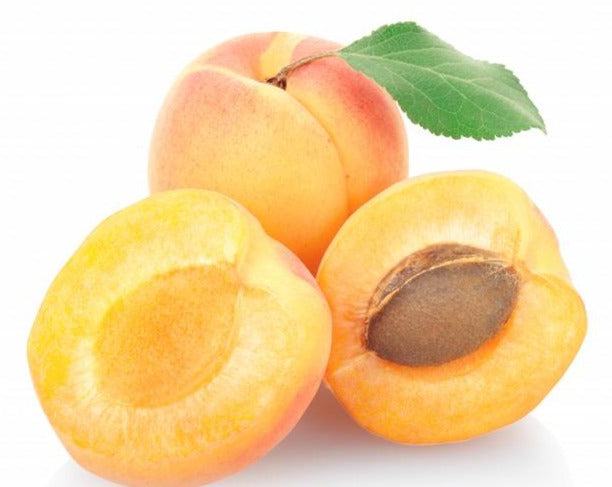 Apricot Concentrate (SSA/SUPA)