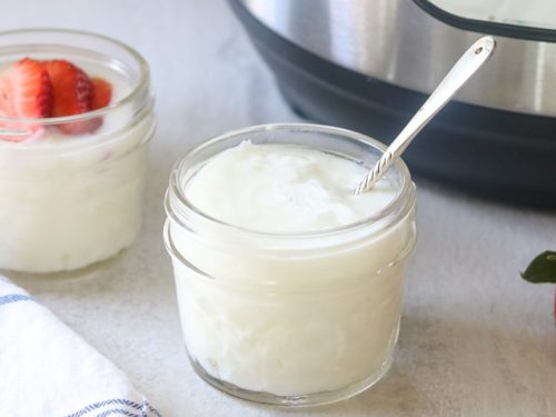 Yogurt Concentrate (FA)